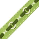 1.5" CABANA RING BORDER