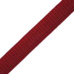 1.25" AURELIA OMBRÉ BORDER