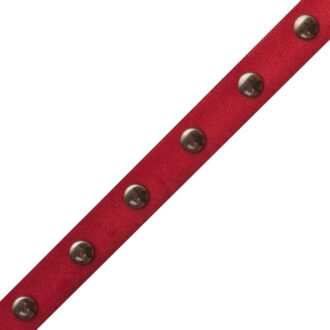 STUDDED LEATHER BORDER