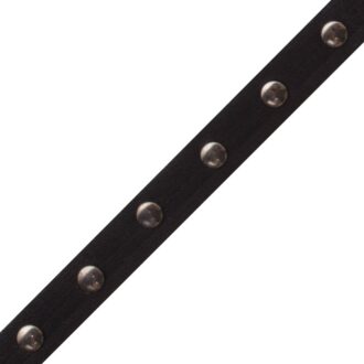 STUDDED LEATHER BORDER