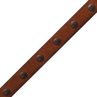 STUDDED LEATHER BORDER