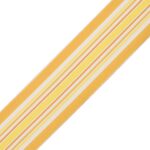 SAISONS STRIPE BORDER