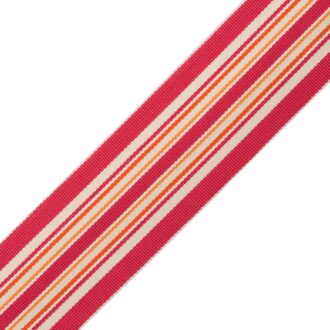 SAISONS STRIPE BORDER