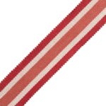 CALLEN STRIPED BORDER