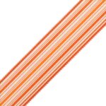 PRESTON SILK STRIPED BORDER