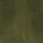 Ткань бархат Casamance Manade 42482610