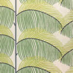 Ковёр Manila Leaf Botanical Green 446107 - SANDERSON - 160 x 230 (SSOO_RN_Manila Leaf Botanical Green 446107)