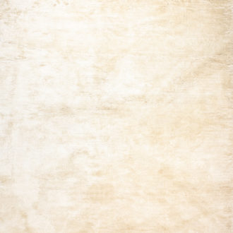 Ковёр ручной работы (Непал), шёлк BLANC DE BLANCS (CHUNEY)  - 250x300x20 (BNC_R_H-8575)