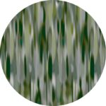 Ковёр - Akira round Moss - MOOOI - 350 x 350