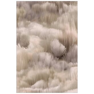 Ковёр - Beetle Dunes Rectangle hay - MOOOI - 300 x 400