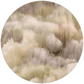 Ковёр - Beetle Dunes Round flax - MOOOI - 250 x 250