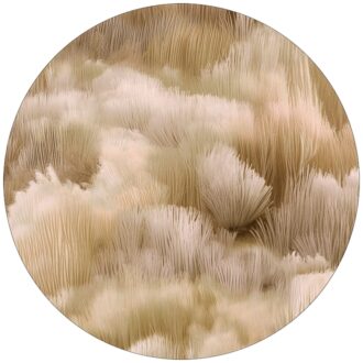Ковёр - Beetle Dunes Round hay - MOOOI - 250 x 250