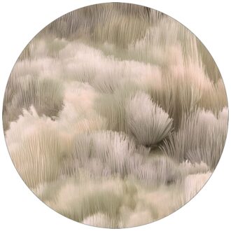 Ковёр - Beetle Dunes Round pampas - MOOOI - 250 x 250