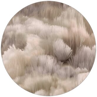 Ковёр - Beetle Dunes Round pussy willow - MOOOI - 250 x 250