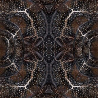 Ковёр - Blooming Seadragon Espresso - MOOOI - 266 x 400