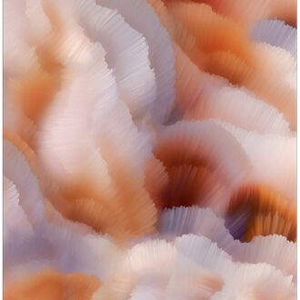 Ковёр - Flitter Flutter Rectangle Monarch - MOOOI - 300 x 400