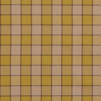 Ткань - Pierre Frey - Bruyeres - L4556004 - Jaune