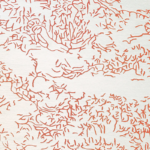Ковёр - Toulemonde Bochart - Nature Corail - 200 x 300