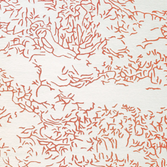 Ковёр - Toulemonde Bochart - Nature Corail - 170 x 240