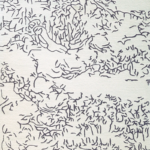 Ковёр - Toulemonde Bochart - Nature Negatif - 200 x 300