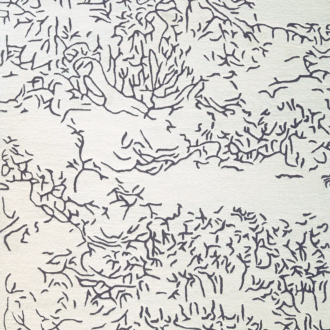Ковёр - Toulemonde Bochart - Nature Negatif - 170 x 240