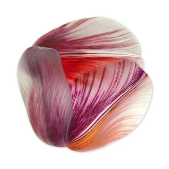Ковёр - Tulip Mania Round Red Shell - MOOOI - 250 x 250