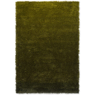 Ковёр Shade High Olive/Deep Forest 011907 - Brink & Campman - 250 x 350