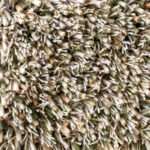 Ковёр Spring Moss 059137 - Brink & Campman - 250 x 350