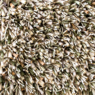 Ковёр Spring Moss 059137 - Brink & Campman - 250 x 350