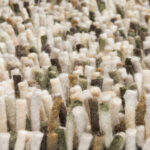 Ковёр Rocks Moss 070537 - Brink & Campman - 170 x 240