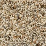 Ковёр Jazz Lush Natural 158701 - Brink & Campman - 200 x 300