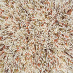 Ковёр Jazz Lush Pumpkin 158703 - Brink & Campman - 250 x 350