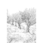 Обои - Casamance - Lauris Noir/Blanc - 75631324