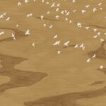 Обои - Casamance - Migration Doré - 76730508