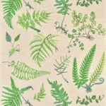 Обои - Pierre Frey - 
BOTANIQUE Printemps - FP084002