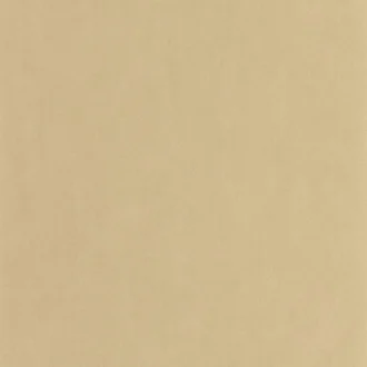 Обои - Casadeco - Nest - Beige chamois (арт. 201001616)